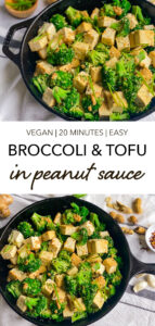 BROCCOLI AND TOFU WITH SPICY PEANUT SAUCE