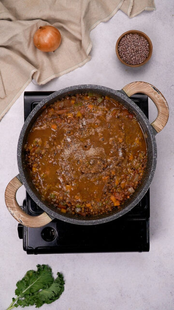 Freezer Lentil Soup